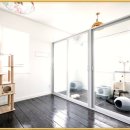 강아지 보호센터 이미지