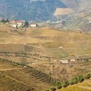 와인과 세계문화 이미지