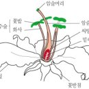 넥스트미술학원