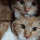 몽2호텔 이미지