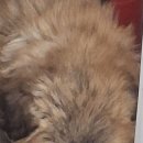 산골짜기 이미지