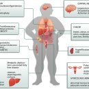 Trends in insulin resistance 2022 nature.. 이미지