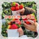 자연먹은꺼먹돼지농장 | 용인 아이와 실내가볼만한곳 : 가족 모두 만족한 '포레스트벨 딸기체험' 솔직 후기
