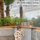 양주 대형카페 도아시스 26개월 아기랑 후기