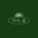 [내돈내산] 수원 셀프스튜디오 다시봄 수원매교점 방문 후기 (실내데이트 셀프촬영)