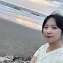 니아마켓 이미지