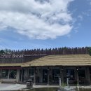 참나무쟁이카페 이미지