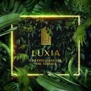 더테라스 이미지