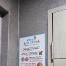 더퍼피즈블루오션 이미지