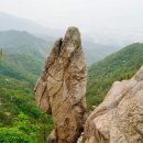 거북상사