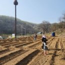 원문농장 이미지