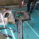 시립예일어린이집 이미지