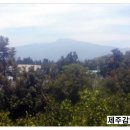 위미대원하로 이미지