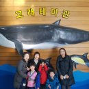 장보고찜 이미지