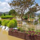 백제문화제 행사장 이미지