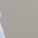 김해안아픈숙면치과의원 이미지