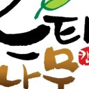 느티나무캠핑장 이미지