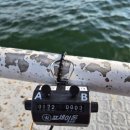 베타네민박 | 20250903. 수요일 쭈꾸미 낚시 후기