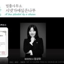 최상미헤어