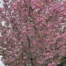 선동1리경로당 이미지