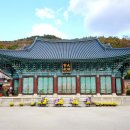 순천-42호 이미지