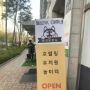 헬로우, 마루네 애견운동장 | 오류동 애견카페 헬로우 마루네 후기(feat.애견운동장)