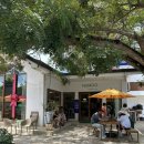 나무카페 이미지