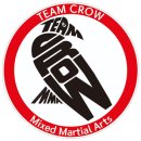 팀크로우 MMA 이미지