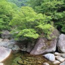 산청금서관광지 이미지