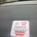 신성카 | 광주 OO동 신성렌트카 이용 경험과 차량 관리 후기