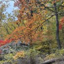 춘천태평양대형약국 이미지