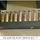 알리멘토 이미지
