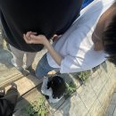 인혜농장 이미지