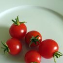 필라테스 C반 이미지