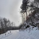 포레스트밸리 | 양구펜션 포레스트밸리 펜션 방문후기