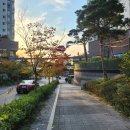 유니크 바이 합정점 | 겨울 준비/합정역 미용실 추천👍/유니크 바이