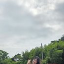 라벤더