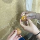 시온결혼정보 이미지