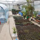 해마루농장 | KCPS 2019년 하반기 정모 후기_feat 해마루농장