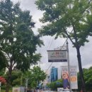 11시 브런치 콘서트 이미지