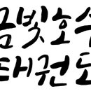 국가대표 모아 태권도장 이미지