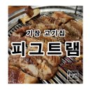 피그트램