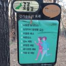 "수원시 '영흥공원'과 '영통중앙공원'의 '도란길' 산책"＜2022.11.30(수)＞ 이미지
