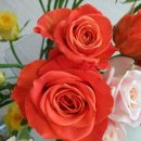 로즈미꽃작업실 이미지