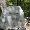 정선 레일바이크_2 이미지