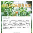 더스페셜 태권도장 이미지