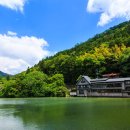 승리코스메틱 | 후쿠오카 여행 코스 완벽정리 | 가볼만한 곳 + 쇼핑 리스트까지 한 번에! (2박 3일 추천)