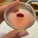 기리네표고두번째이야기 | 건대입구 오마카세 초밥 데이트 맛집 오마카세 오사이초밥 건대본점 또 가고 싶은 후기
