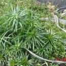 화창농원 이미지