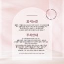 쑤쑤 | 쑤쑤아이래쉬 : 대전 속눈썹 연장 솔직후기